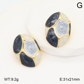 2E3003960vbmb-434  Stainless Steel Earrings