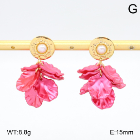 2E3003961vbmb-434  Stainless Steel Earrings