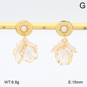 2E3003962vbmb-434  Stainless Steel Earrings