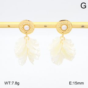 2E3003963vbmb-434  Stainless Steel Earrings