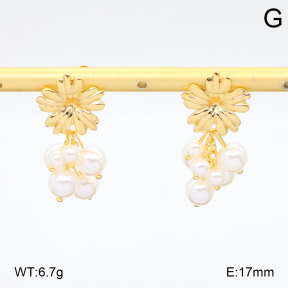 2E3003964bbml-434  Stainless Steel Earrings