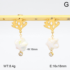 2E3003965vbll-434  Stainless Steel Earrings