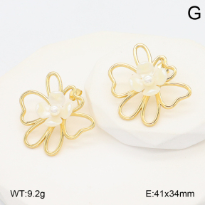 2E3003966bbml-434  Stainless Steel Earrings