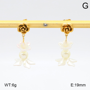 2E3003967vbmb-434  Stainless Steel Earrings