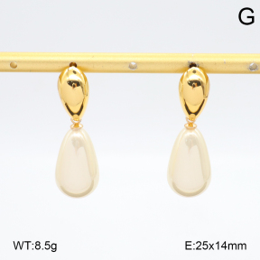 2E3003968vbll-434  Stainless Steel Earrings