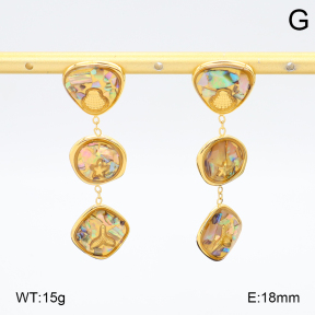 2E3003970bhil-434  Stainless Steel Earrings