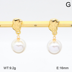 2E3003972ablb-434  Stainless Steel Earrings