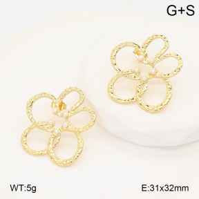 2E3003973aakl-434  Stainless Steel Earrings