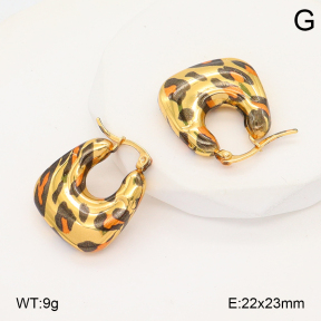 2E3003974vbnl-434  Stainless Steel Earrings