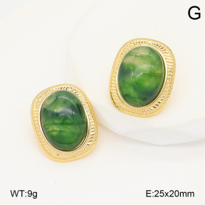 2E4004909vbll-434  Stainless Steel Earrings