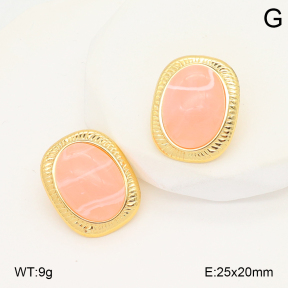 2E4004910vbll-434  Stainless Steel Earrings