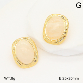 2E4004911vbll-434  Stainless Steel Earrings