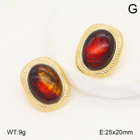 2E4004912vbll-434  Stainless Steel Earrings