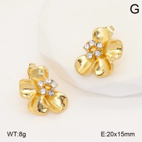 2E4004913vbnl-434  Stainless Steel Earrings