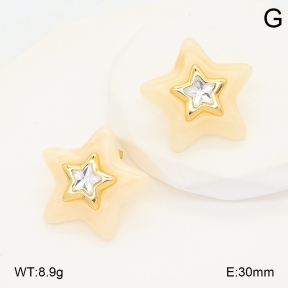 2E4004914vbmb-434  Stainless Steel Earrings