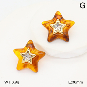 2E4004915vbmb-434  Stainless Steel Earrings