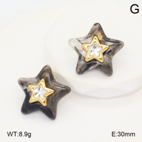 2E4004916vbmb-434  Stainless Steel Earrings