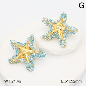 2E4004917vhha-434  Stainless Steel Earrings