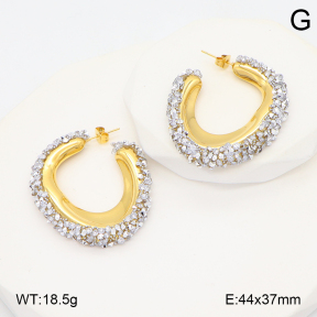 2E4004919bhbl-434  Stainless Steel Earrings