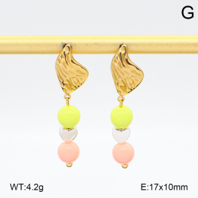 2E4004920ablb-434  Stainless Steel Earrings