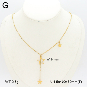 2N2008240ablb-749  Stainless Steel Necklace