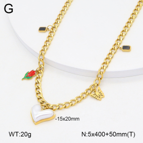 2N3003239bhva-749  Stainless Steel Necklace