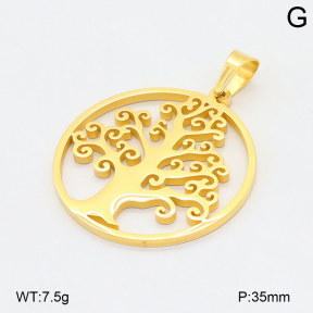 2P2005492ablb-239  Stainless Steel Pendant