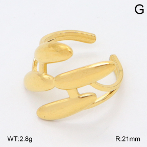 2R2002214aaio-434  Stainless Steel Ring