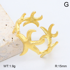 2R2002218aaio-434  Stainless Steel Ring