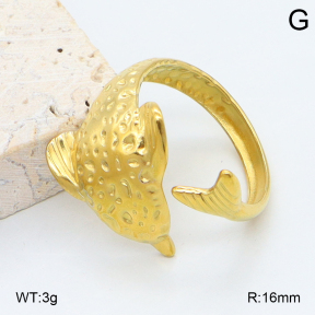 2R2002220aaio-434  Stainless Steel Ring