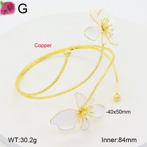 F2AB00011vbnl-J48  Fashion Armband