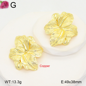 F2E202129vbll-J48  Fashion Copper Earrings
