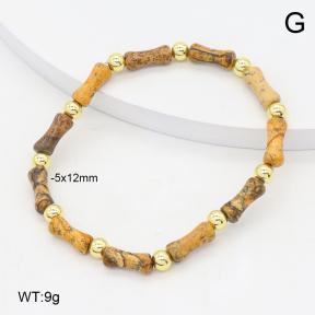 2B4005618abol-737  Stainless Steel Bracelet