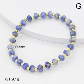 2B4005625vbpb-737  Stainless Steel Bracelet