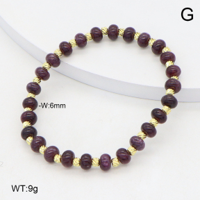 2B4005627vbpb-737  Stainless Steel Bracelet