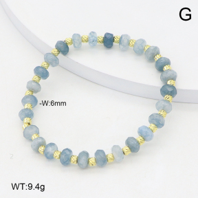 2B4005628vbpb-737  Stainless Steel Bracelet