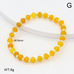 2B4005629vbpb-737  Stainless Steel Bracelet