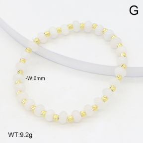 2B4005630vbpb-737  Stainless Steel Bracelet