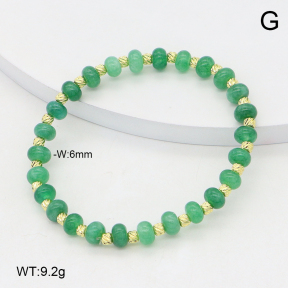 2B4005631vbpb-737  Stainless Steel Bracelet