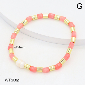 2B4005637abol-737  Stainless Steel Bracelet