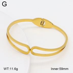 2BA202529aaki-704  Stainless Steel Bangle