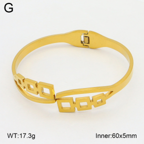2BA202530aaki-704  Stainless Steel Bangle