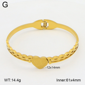 2BA202532aaki-704  Stainless Steel Bangle