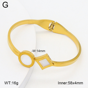 2BA300597aako-704  Stainless Steel Bangle