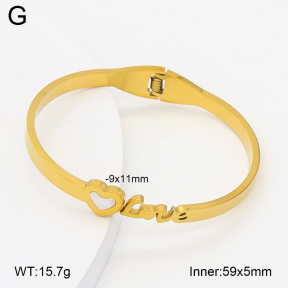 2BA300598aaki-704  Stainless Steel Bangle