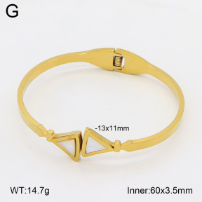 2BA300599aako-704  Stainless Steel Bangle