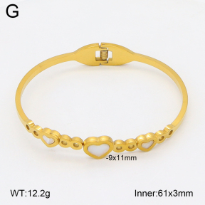 2BA300600abli-704  Stainless Steel Bangle