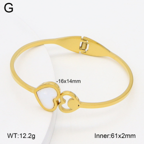 2BA300601aaki-704  Stainless Steel Bangle