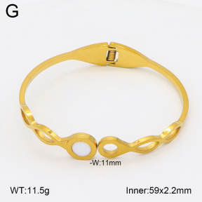 2BA300602aaki-704  Stainless Steel Bangle