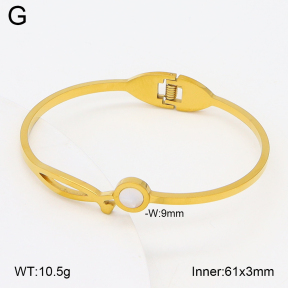 2BA300603aaki-704  Stainless Steel Bangle